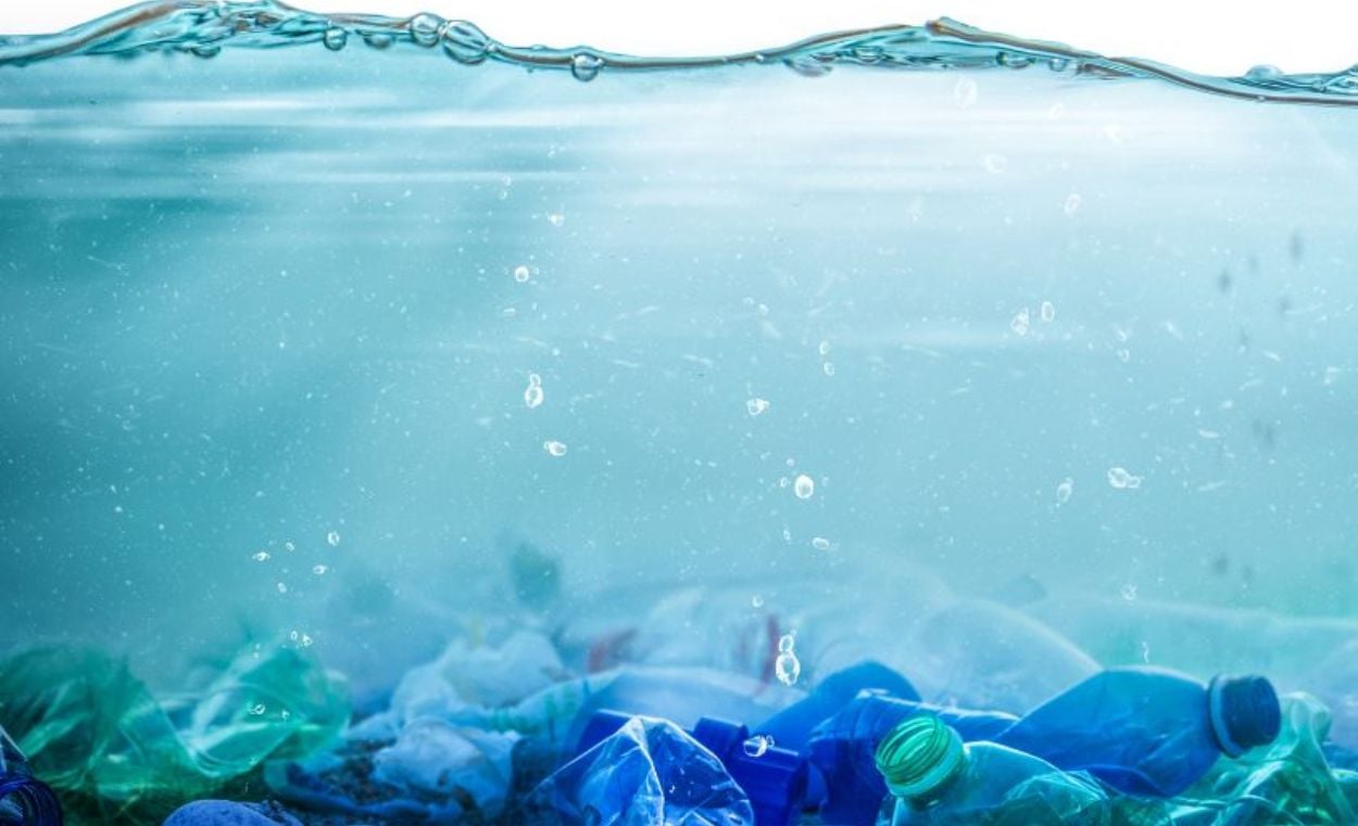 Pledges-to-Reduce-Single-use-Plastic-Consumption