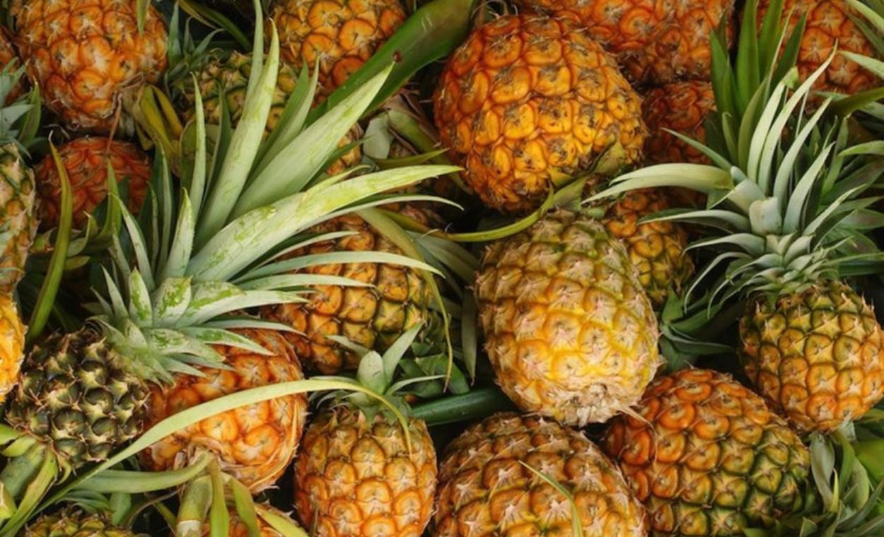 fiber-focus-pineapple