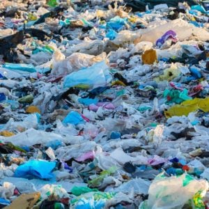 plastic-bags-polluting-environment